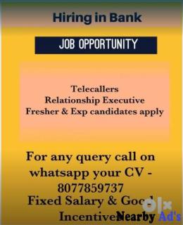 Job Opportunity