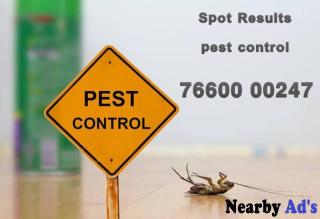 Pest control services call us now