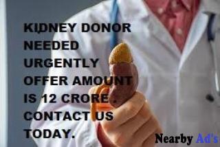 KIDNEY DONOR NEEDED