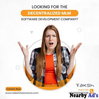 software and website development service